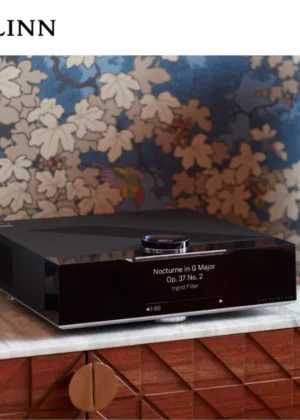 Linn Selekt DSM 網路音樂播放機 - Classic Hub 組合 2